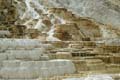 Yellowstone NP - Mammoth Hot Springs 005